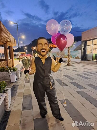 Ведущие,караоке,диджей,шоу ростовых кукол