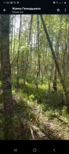 Участок 11 сот. (СНТ, ДНП)