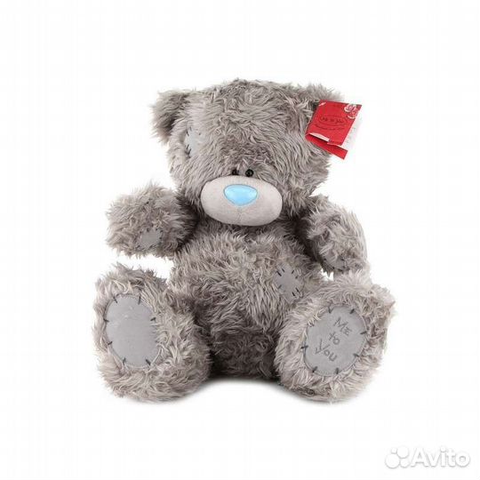 Тедди новый