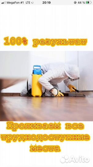 Уничтожение клопов обработка тараканов крыс