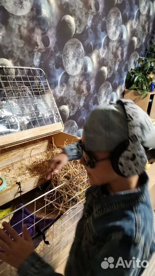 Клетка для морских свинок