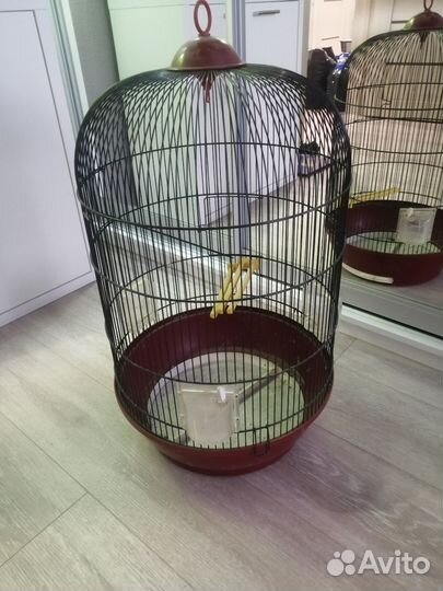 Клетка для попугая