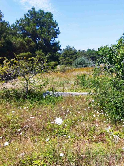 Участок 5 сот. (СНТ, ДНП)