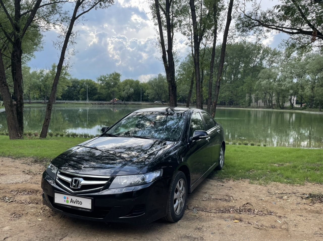 Honda Accord: фото владельца