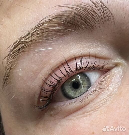 Бровист, ламимейкер