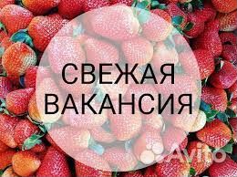 Сборщик заказов - комплектовщик выплаты ежедневно