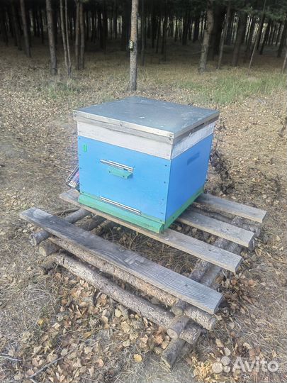 Улей для пчел