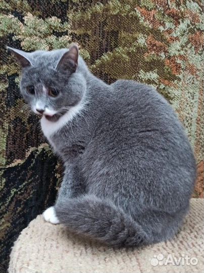 Меня пнули ботинком