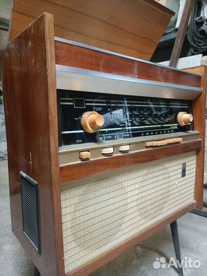 Радиола ригонда