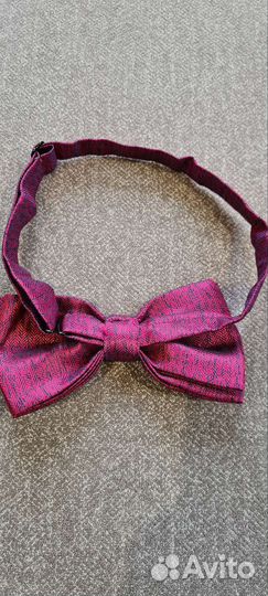 Бабочка Сударь