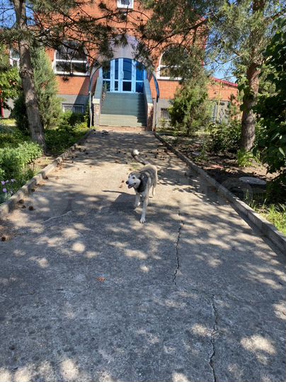 Дом 264 м² на участке 20 сот.