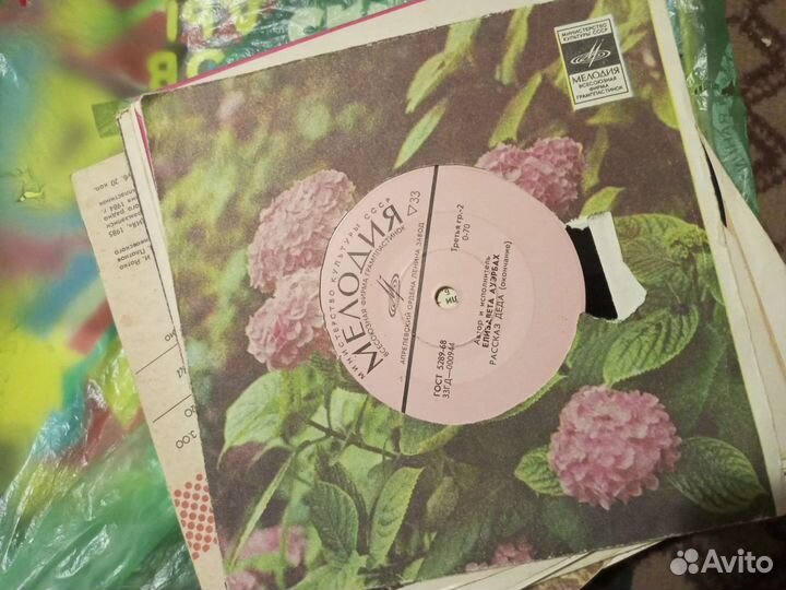 Виниловые пластинки