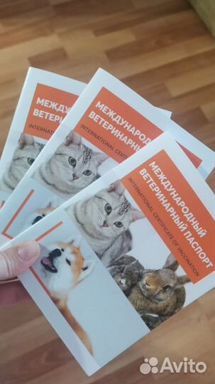 Собака в добрые руки, щенки