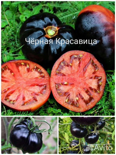 Семена томата Black Beauty (Чёрная Красавица)