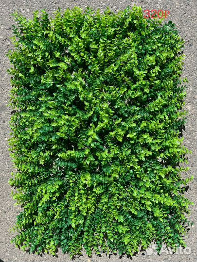 Трава искусственная самшит газон