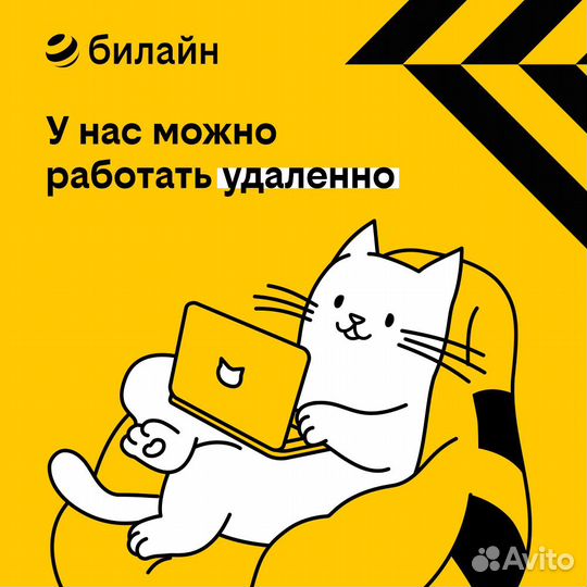 Начинающий специалист call-центра, без продаж