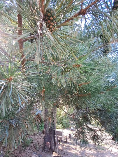 Дом 44,9 м² на участке 8 сот.