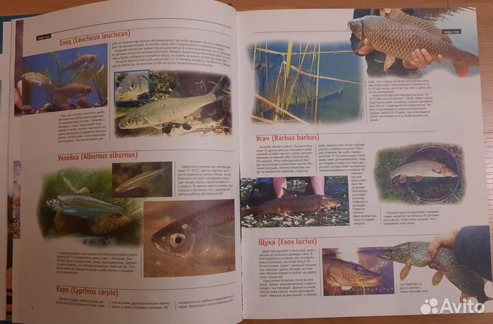 Книги рыболова и охотника