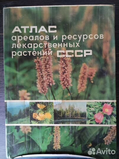 Гусь-Хрустальный, Испанское стекло, Ежегодник, Атл