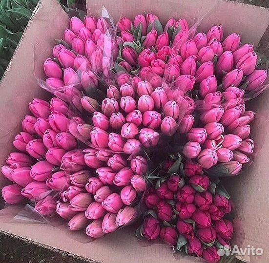 Тюльпаны 25 шт букет