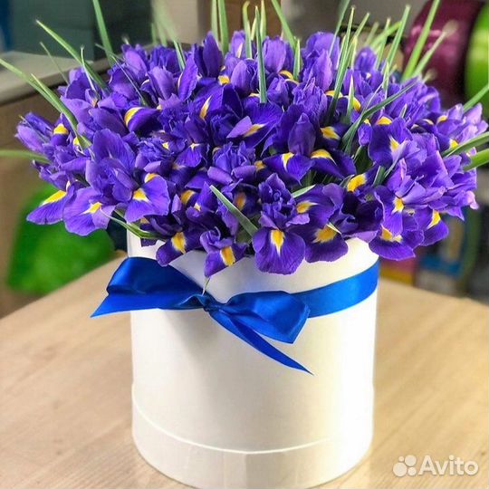 Ирисы. Цветы/Букеты/Композиции. Доставка