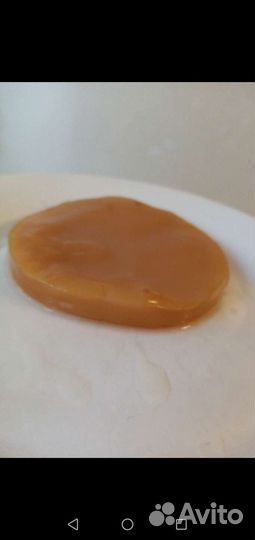 Алоэ, чайный гриб