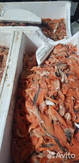 На корм животным