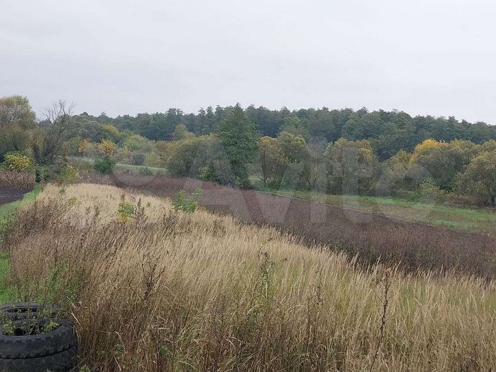 Дом 60 м² на участке 50 сот.