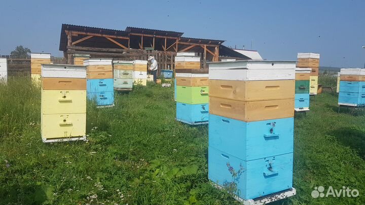 Мёд, мёд в сотах, забрус