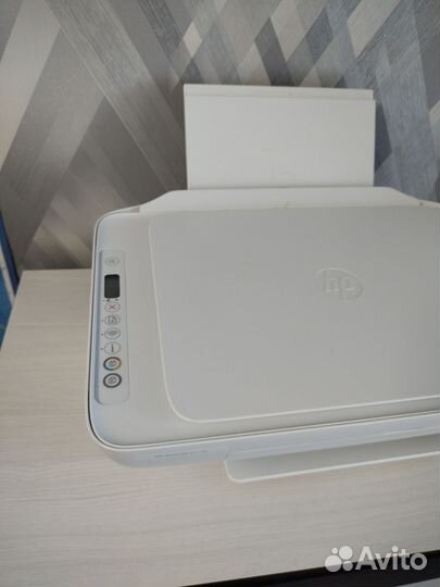 Принтер hp