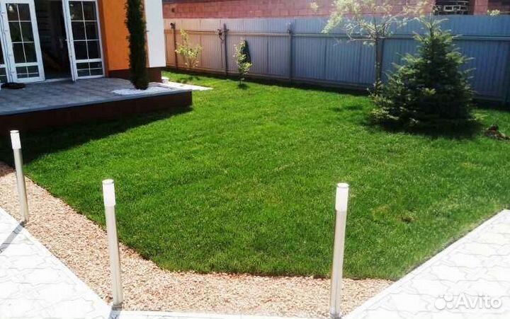 Укладка газона