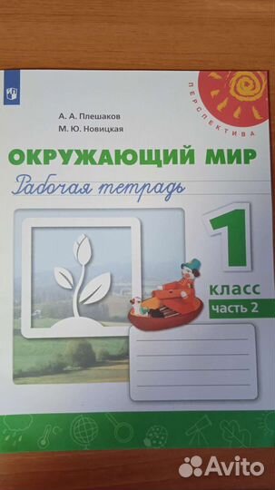 Рабочие тетради