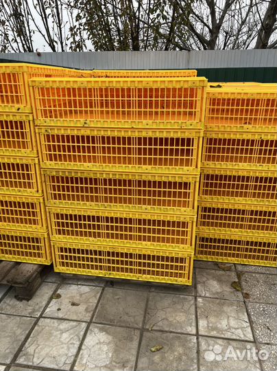 Ящики для перевозки птицы