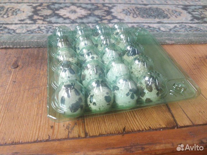 Яйца перепелиные домашние