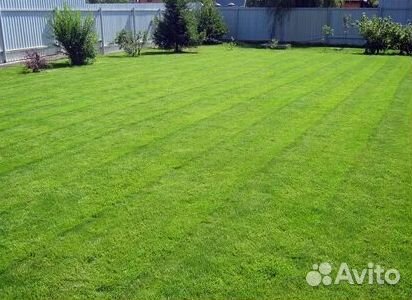 Газон рулонный гарантия