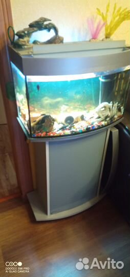 Продам аквариум