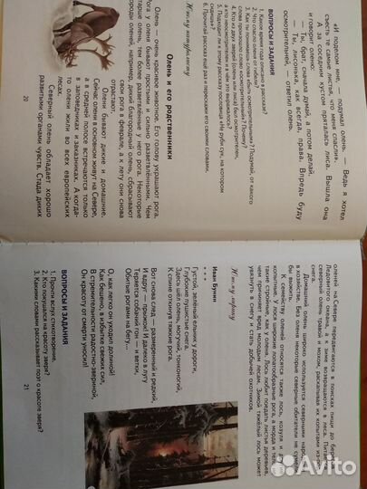 Первая после букваря книга для чтения