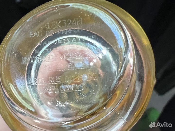 Mancera Hindu Kush,Wild Fruits,Deep Forest