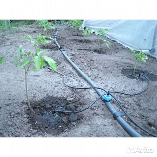 Капельный полив