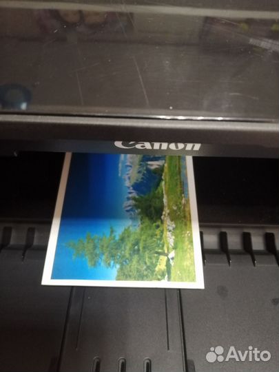 Мфу Canon pixma MP220