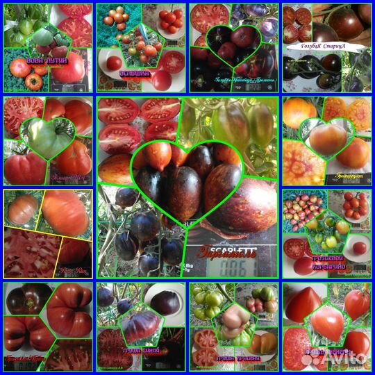 Семена сортовых томатов