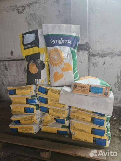 Семечки подсолнечника Сузука и Сумико