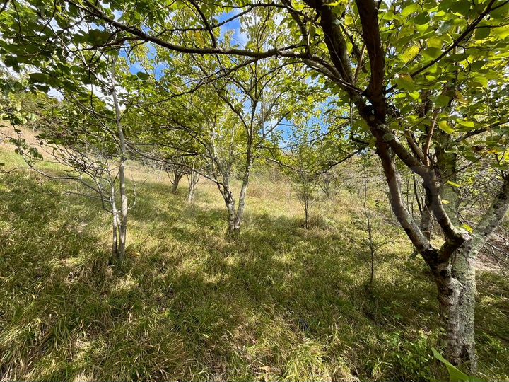 Участок 12 сот. (ИЖС)