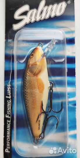 Salmo Perch 8F - RR
