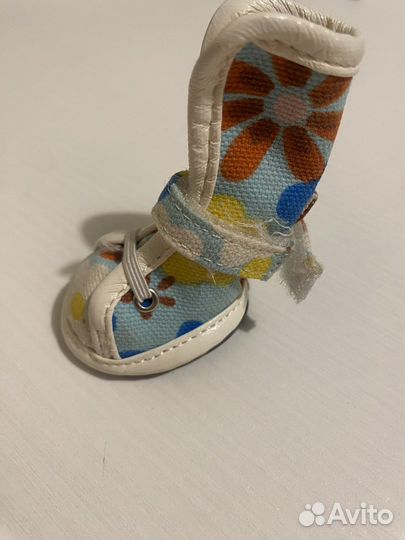 Обувь для собак кеды