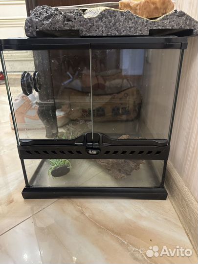 Террариум для рептилий