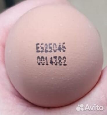 Маркировка яиц по размеру