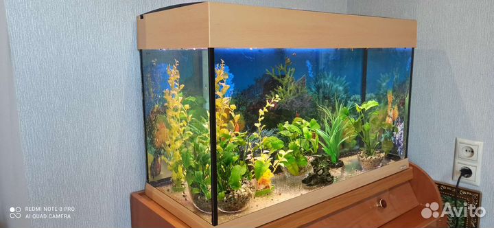 Аквариум