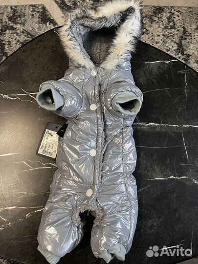 Зимний комбинезон для маленькой собачки