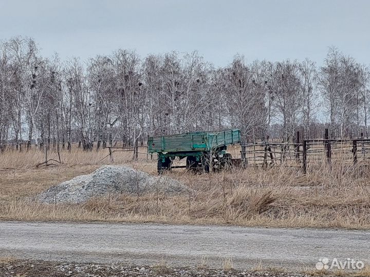 Продам хряка